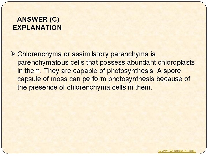 ANSWER (C) EXPLANATION Ø Chlorenchyma or assimilatory parenchyma is parenchymatous cells that possess abundant