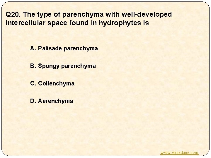 Q 20. The type of parenchyma with well-developed intercellular space found in hydrophytes is