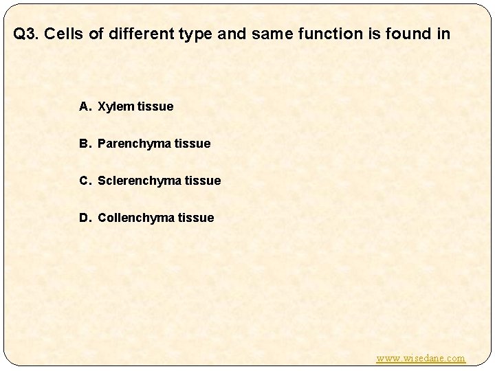 Q 3. Cells of different type and same function is found in A. Xylem