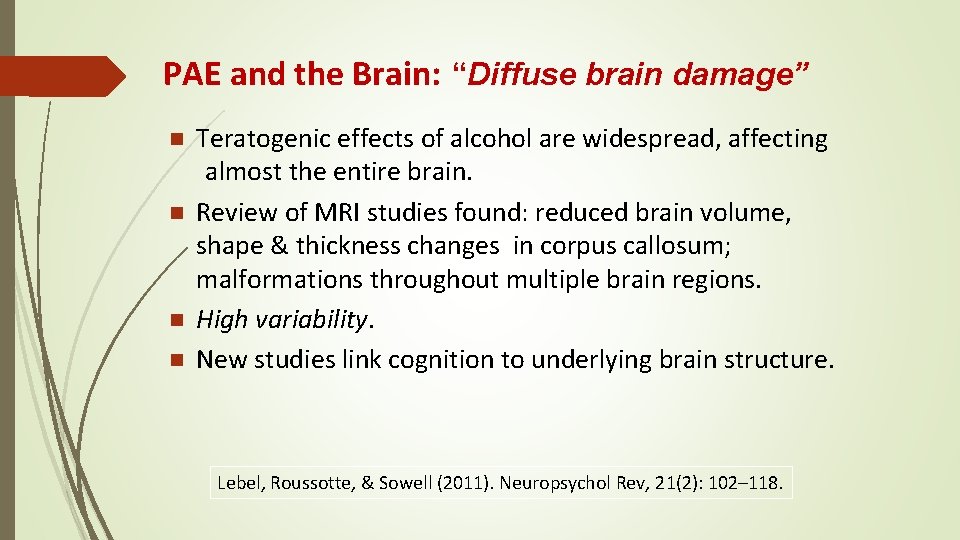 PAE and the Brain: “Diffuse brain damage” n n Teratogenic effects of alcohol are