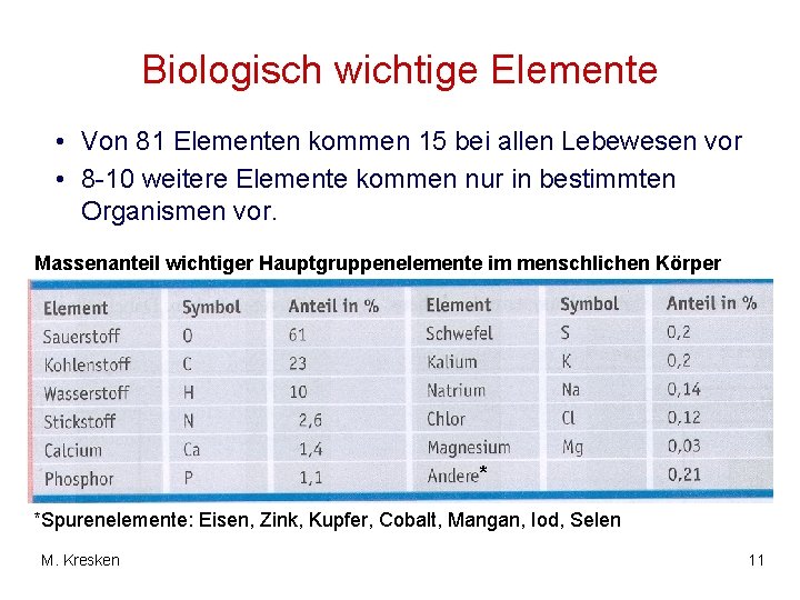 Biologisch wichtige Elemente • Von 81 Elementen kommen 15 bei allen Lebewesen vor •