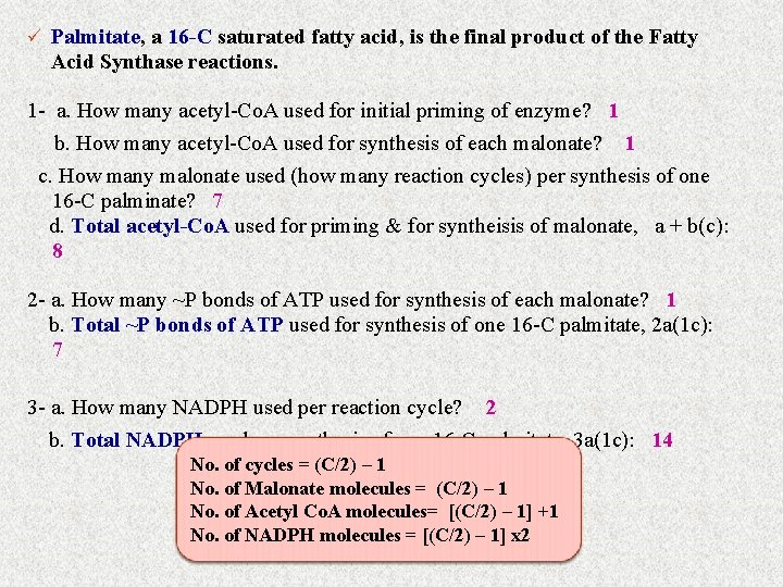 ü Palmitate, a 16 -C saturated fatty acid, is the final product of the