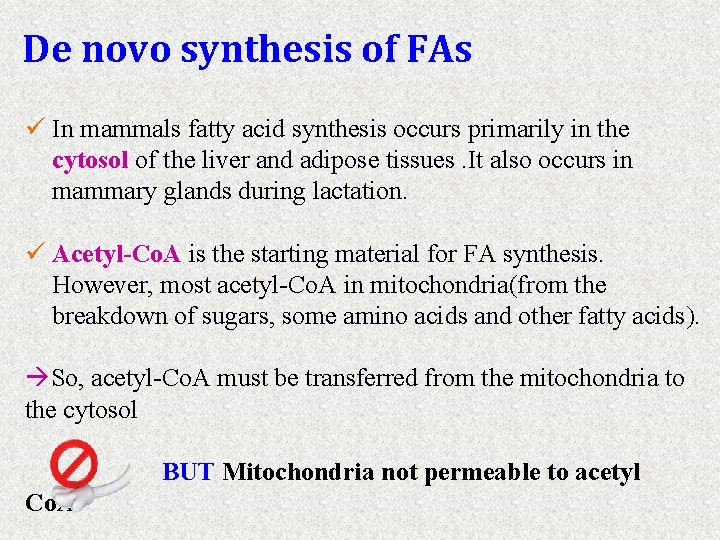 Fatty Acid Synthesis Javed Khan Biotechnology Department PGCSTR