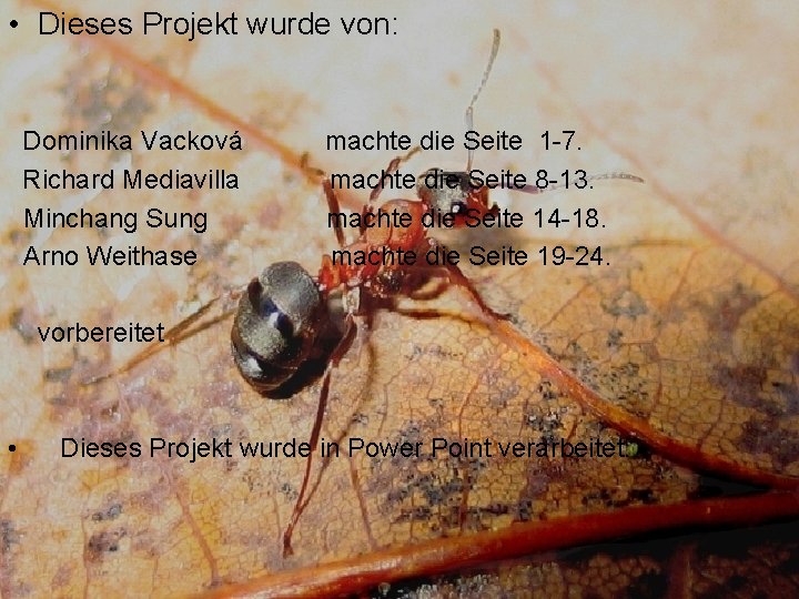  • Dieses Projekt wurde von: Dominika Vacková machte die Seite 1 -7. Richard