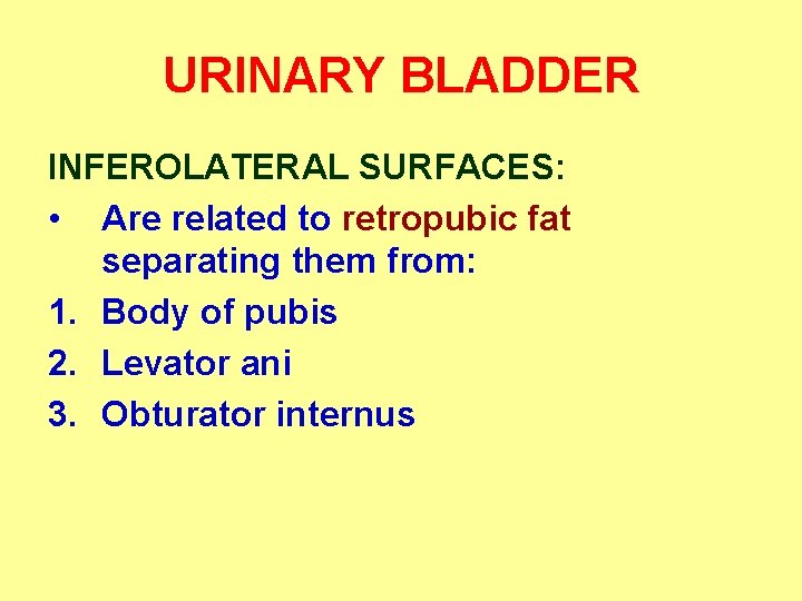 URINARY BLADDER INFEROLATERAL SURFACES: • Are related to retropubic fat separating them from: 1.