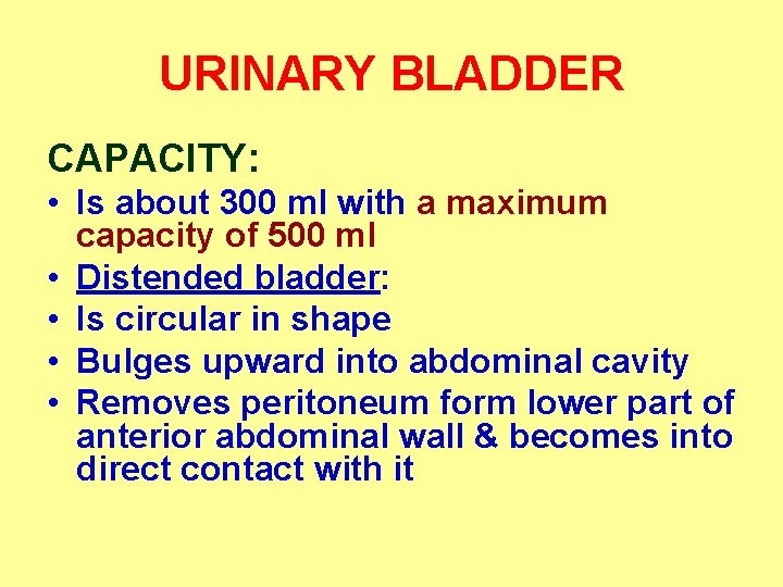 URINARY BLADDER CAPACITY: • Is about 300 ml with a maximum capacity of 500