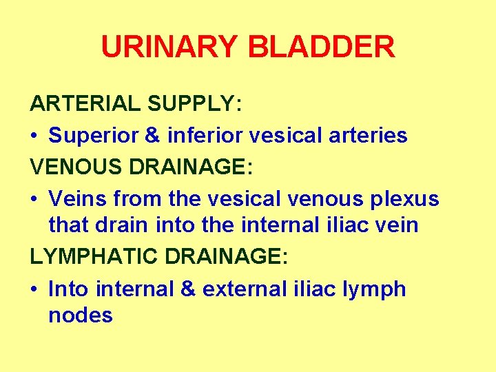 URINARY BLADDER ARTERIAL SUPPLY: • Superior & inferior vesical arteries VENOUS DRAINAGE: • Veins