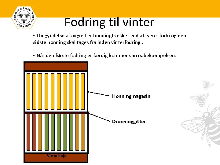 Fodring til vinter • I begyndelse af august er honningtrækket ved at være forbi