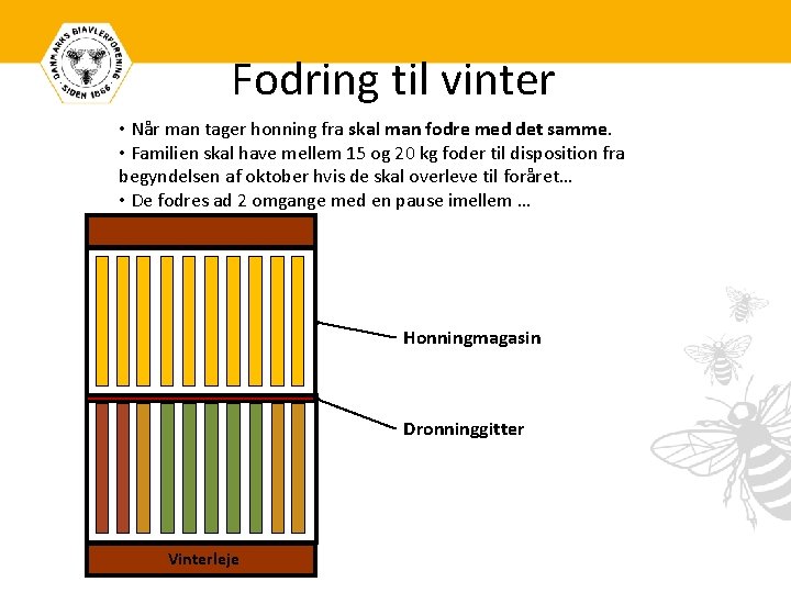 Fodring til vinter • Når man tager honning fra skal man fodre med det