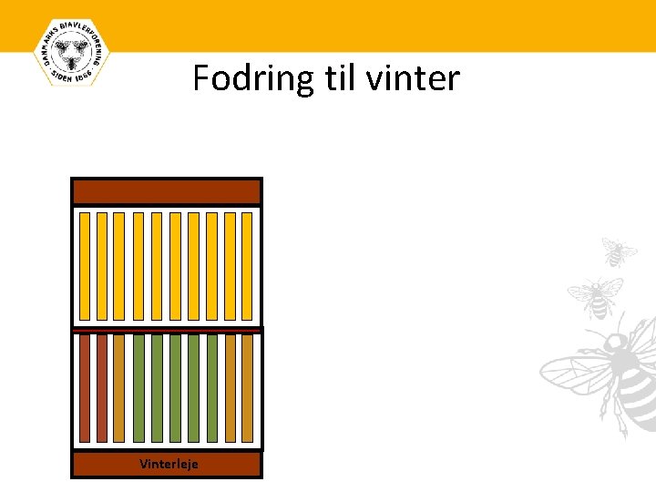 Fodring til vinter Vinterleje 