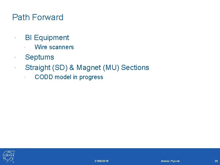Path Forward • BI Equipment • • • Wire scanners Septums Straight (SD) &