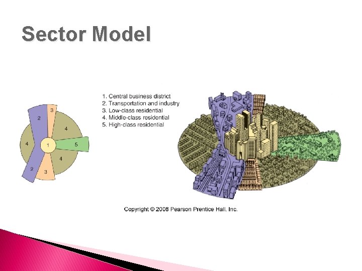 Sector Model 