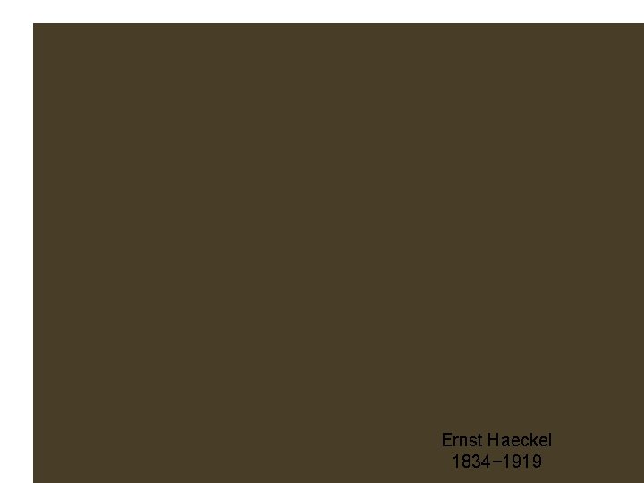 Ernst Haeckel 1834− 1919 