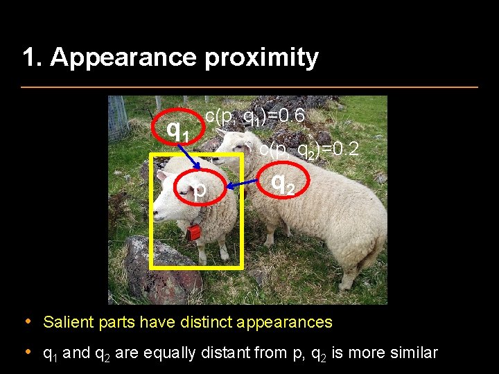 1. Appearance proximity q 1 c(p, q 1)=0. 6 c(p, q 2)=0. 2 p