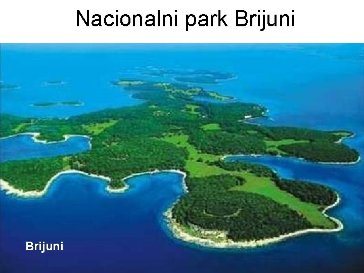 Nacionalni park Brijuni Nacionalni park Brijuni
