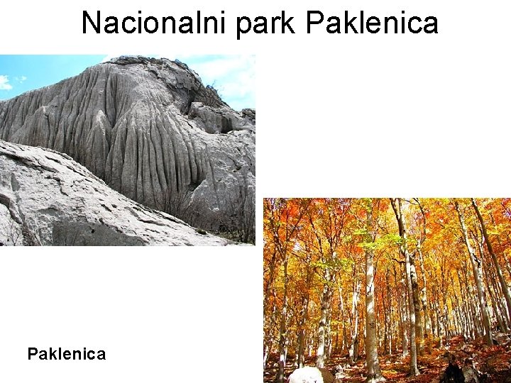 Nacionalni park Paklenica Nacionalni park Paklenica