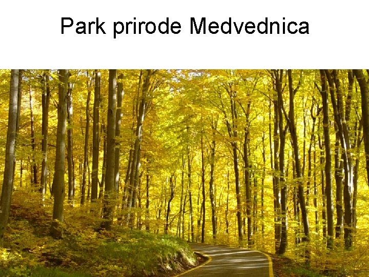 Park prirode Medvednica Park prirode Medvednica