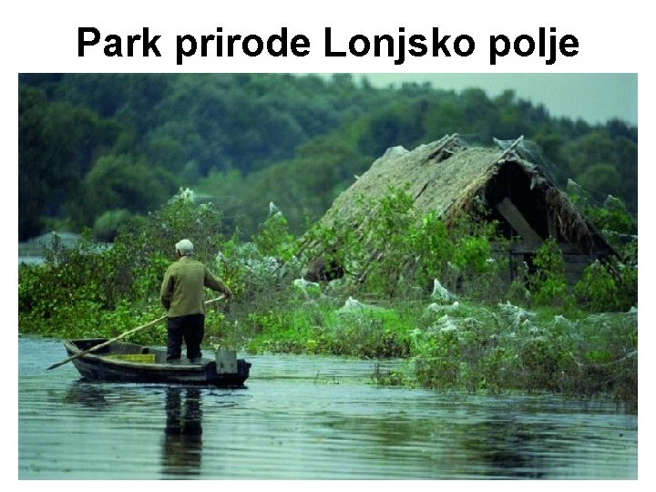 Park prirode Lonjsko polje Park prirode Lonjsko polje