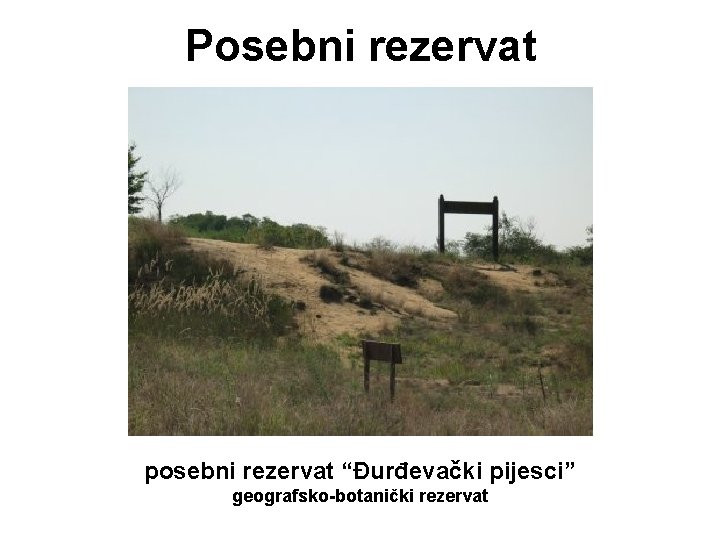Posebni rezervat posebni rezervat “Đurđevački pijesci” geografsko-botanički rezervat Posebni rezervat posebni rezervat “Đurđevački pijesci” geografsko-botanički rezervat