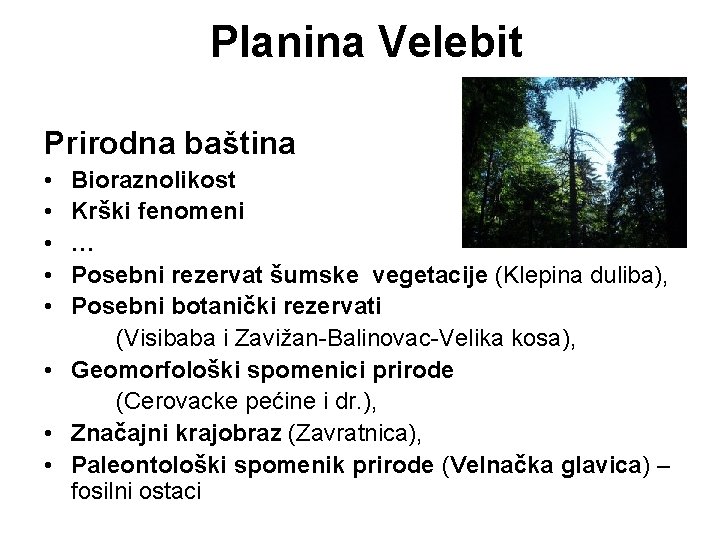 Planina Velebit Prirodna baština • • • Bioraznolikost Krški fenomeni … Posebni rezervat šumske Planina Velebit Prirodna baština • • • Bioraznolikost Krški fenomeni … Posebni rezervat šumske