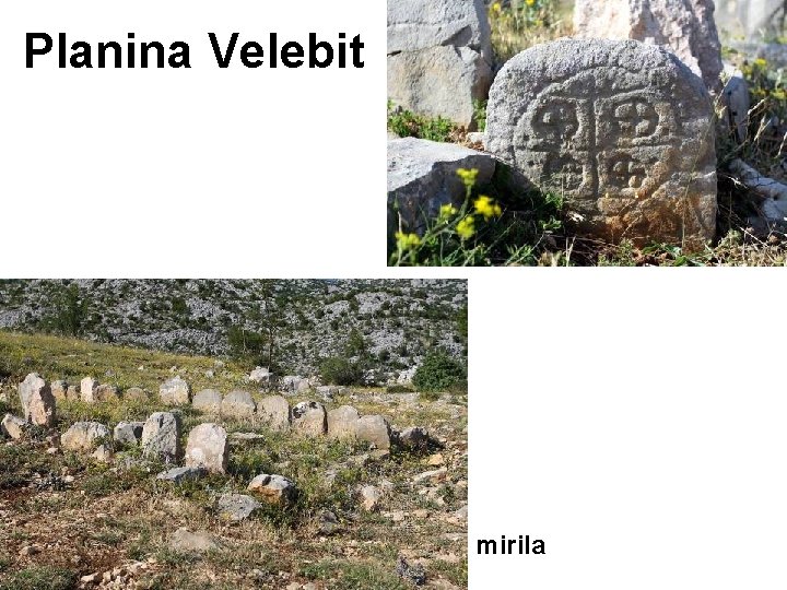 Planina Velebit mirila Planina Velebit mirila