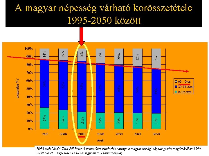 A magyar népesség várható korösszetétele 1995 -2050 között Hablicsek László-Tóth Pál Péter A nemzetközi