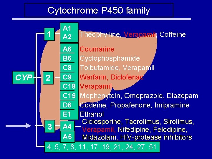 Cytochrome P 450 family 1 CYP A 1 A 2 A 6 B 6