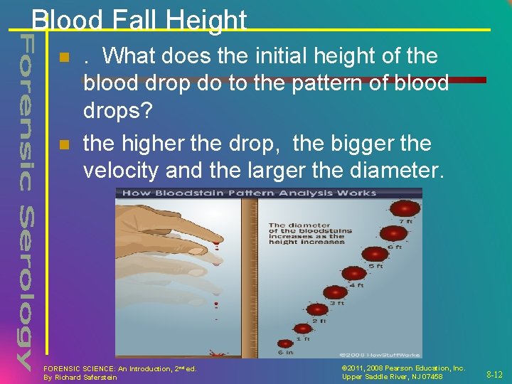 Blood Fall Height n n . What does the initial height of the blood