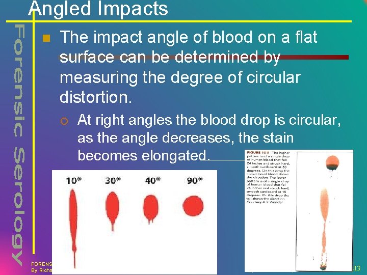 Angled Impacts n The impact angle of blood on a flat surface can be