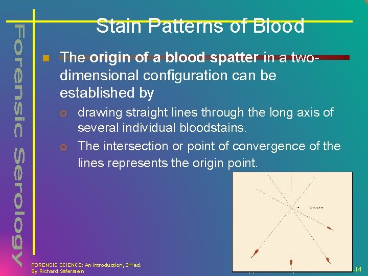 Stain Patterns of Blood n The origin of a blood spatter in a twodimensional