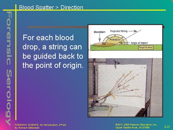 Blood Spatter > Direction For each blood drop, a string can be guided back