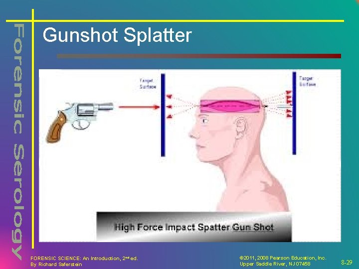 Gunshot Splatter FORENSIC SCIENCE: An Introduction, 2 nd ed. By Richard Saferstein © 2011, Gunshot Splatter FORENSIC SCIENCE: An Introduction, 2 nd ed. By Richard Saferstein © 2011,