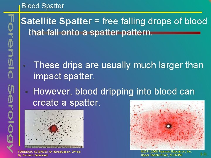 Blood Spatter Satellite Spatter = free falling drops of blood that fall onto a