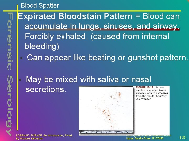 Blood Spatter Expirated Bloodstain Pattern = Blood can accumulate in lungs, sinuses, and airway.