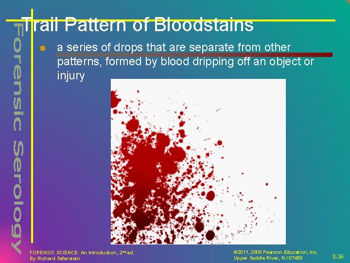 Trail Pattern of Bloodstains n a series of drops that are separate from other