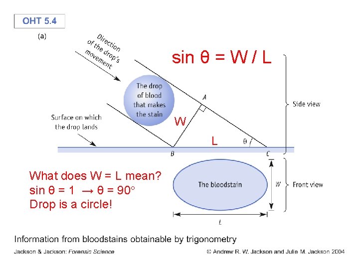 sin θ = W / L What does W = L mean? sin θ