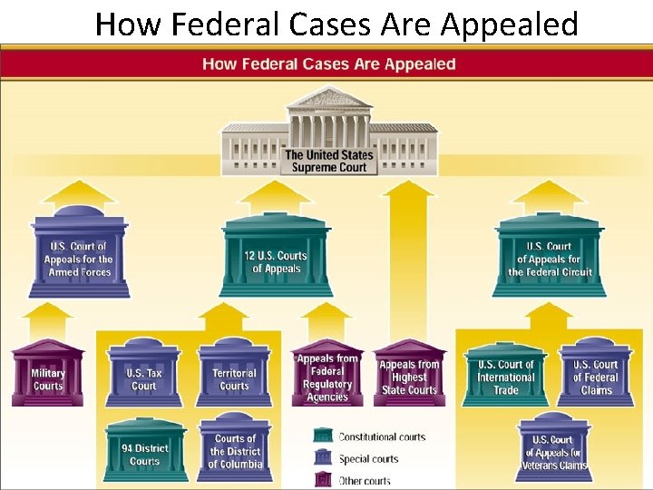 How Federal Cases Are Appealed 