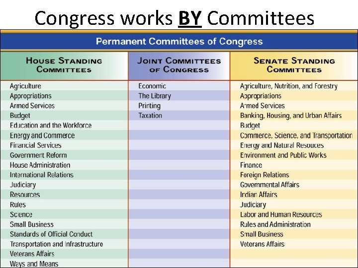 Congress works BY Committees 