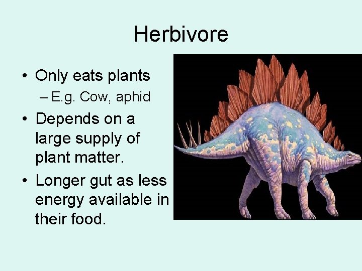 Herbivore • Only eats plants – E. g. Cow, aphid • Depends on a