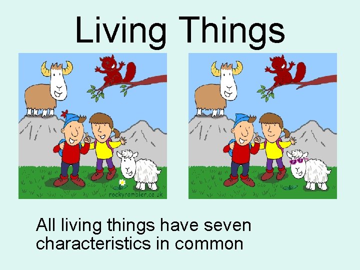 Living Things All living things have seven characteristics in common 