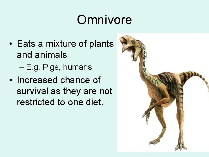 Omnivore • Eats a mixture of plants and animals – E. g. Pigs, humans
