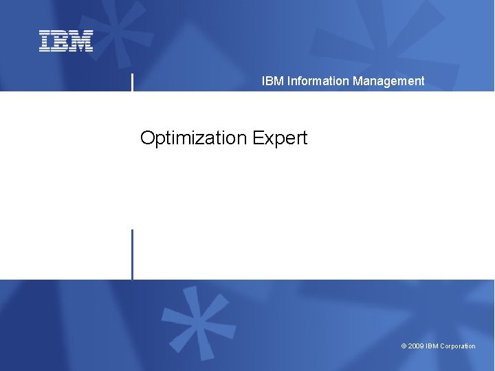 IBM Information Management Optimization Expert © 2009 IBM Corporation 