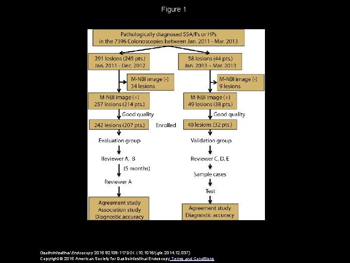 Figure 1 Gastrointestinal Endoscopy 2015 82108 -117 DOI: (10. 1016/j. gie. 2014. 12. 037)