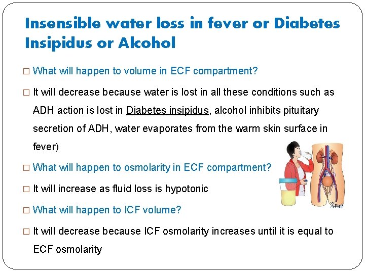Insensible water loss in fever or Diabetes Insipidus or Alcohol � What will happen