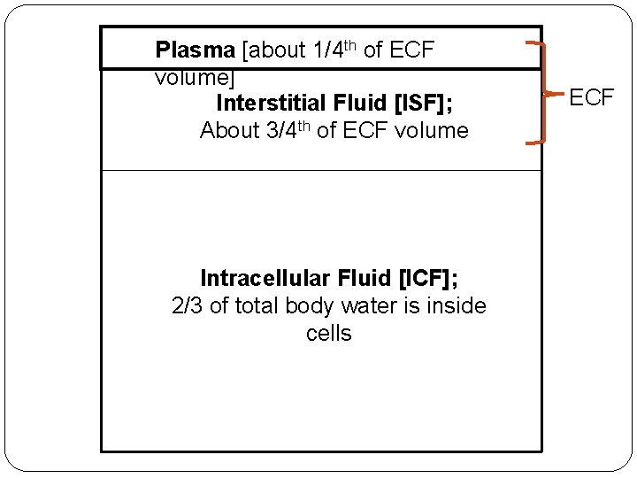 Plasma [about 1/4 th of ECF volume] Interstitial Fluid [ISF]; About 3/4 th of