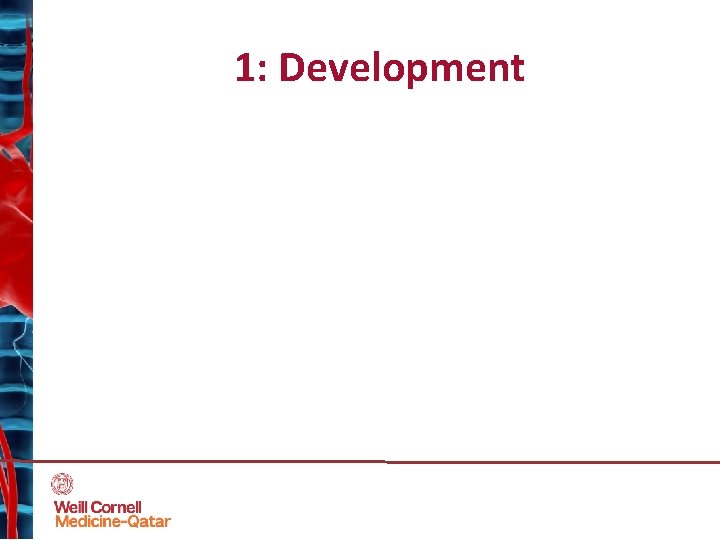 1: Development 