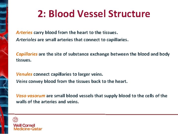 2: Blood Vessel Structure Arteries carry blood from the heart to the tissues. Arterioles