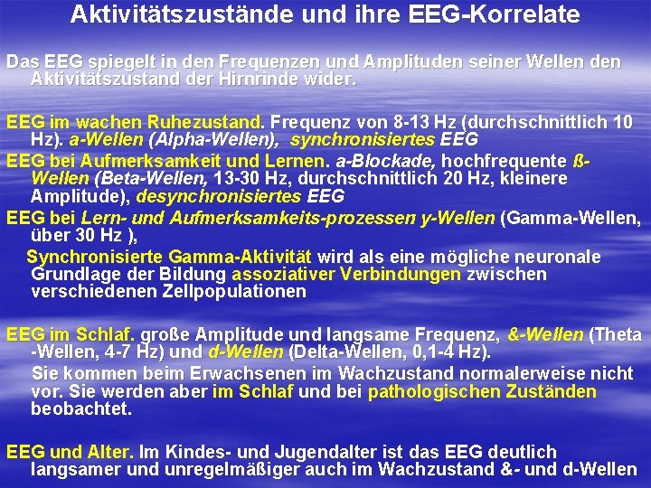 Aktivitätszustände und ihre EEG-Korrelate Das EEG spiegelt in den Frequenzen und Amplituden seiner Wellen