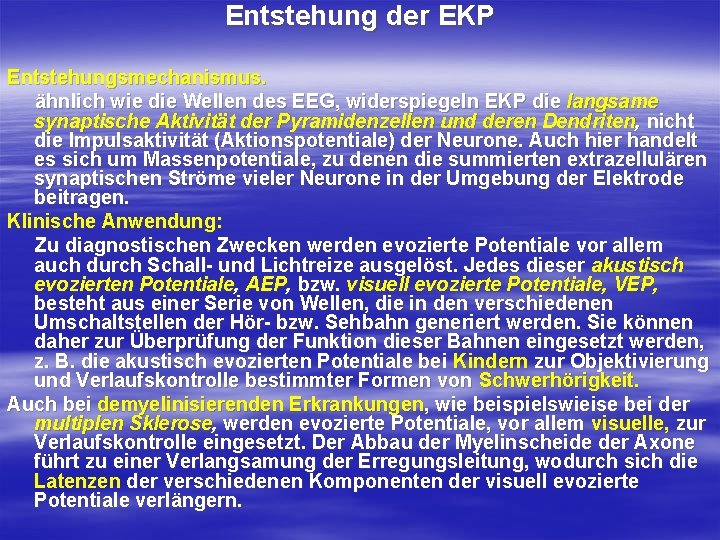 Entstehung der EKP Entstehungsmechanismus. ähnlich wie die Wellen des EEG, widerspiegeln EKP die langsame