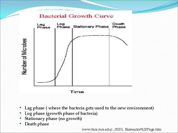  • Lag phase ( where the bacteria gets used to the new environment)